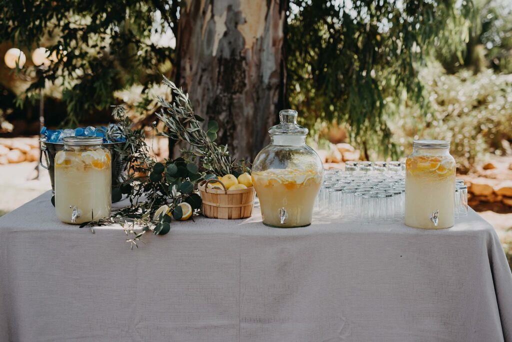 boda en la tortuga mora